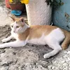 meokhoang09