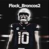 flock_broncos2