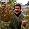 maksimka.yaaa