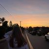shae_109