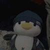 bruno_11.11j