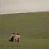 enteesee