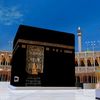 user89659054