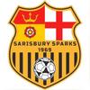 sarisbury.sparks