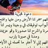 mohammadi.el