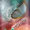 om.mostafa470