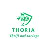 thoria_thriftandsavings