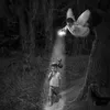 paganitozenn