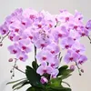 lan.nguyn4134