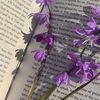bgauthor_