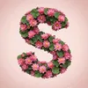 souleikha1