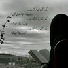 shameer03472