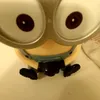 protaceson