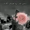 top.chakib