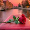 soukaina4193904217303