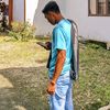fery4029