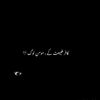zulqrananichaudhary0