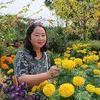 kim.thoa247