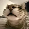 marsik_martikk303