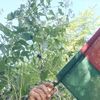 welcome.in.arakan