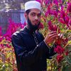 hasanur.rahman743