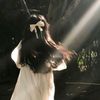 na_zah03