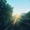makintern