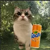 kimary93