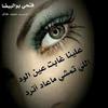 om_ziad_30