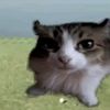 anomali_111211192111113214916