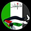 adeelmalik.513