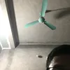 bibbi.695