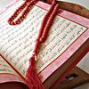 tahany.hany.mostafa