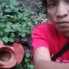 widian610