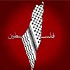islam.radwan