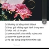 ninh.bnh.qu.em