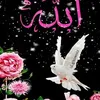 user84362484794945
