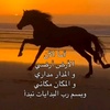 madar_2024