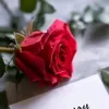 user9973804212214