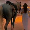 ahmed38641