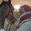 al.malk25