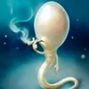 ursuserarqon