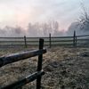 the.orange.ranch