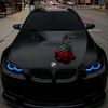 steve_jm09