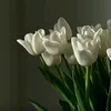 fff_2812