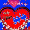 muhammad.abbas0448