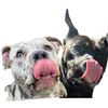 ruler.and.stormie