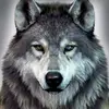 wolfpackleader1