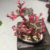hoanghaivo71