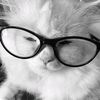 saskia_4j4h2